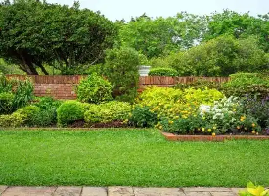 landscaping services Black Mountain